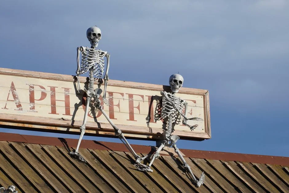 Skeleton and Cat Decoration Only $9.97 at Walmart