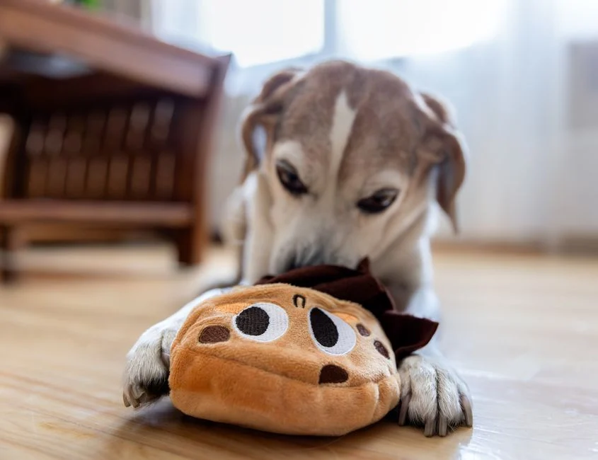 Curio Interactive Grok AI Plush Companion Only $27 at Walmart