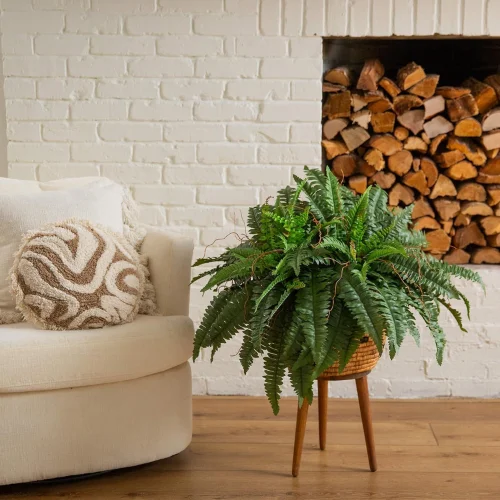 Artificial Boston Fern Only $16.xx (Reg. $35) at Woot