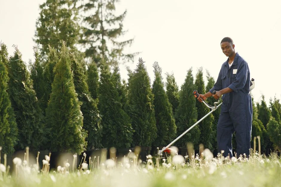 DEWALT FLEXVOLT 26in Hedge Trimmer Only $140 (Reg. $249) at Home Depot
