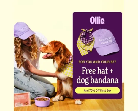 Ollie: 70% Off First Box + FREE Dog Bandana & Hat