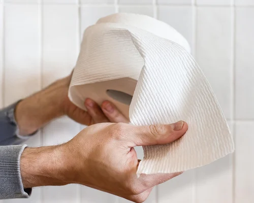 Scott Toilet Paper 12 Double Rolls Deal