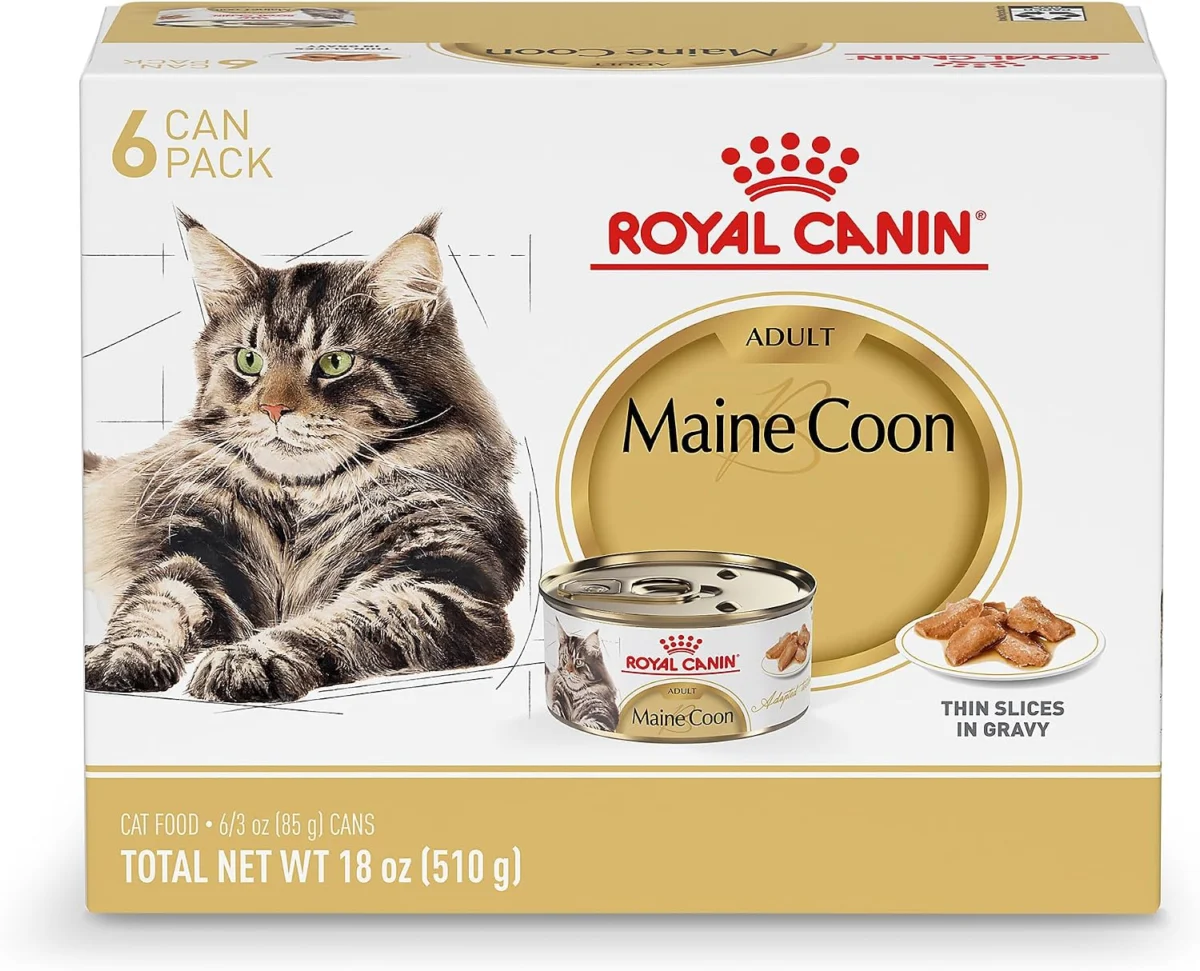 Royal Canin Cat Food 50% Off at Amazon – Save on Premium Pet Nutrition