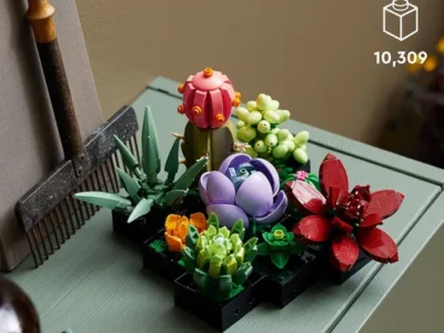 LEGO Botanicals Succulents for $34.xx (Reg $50)