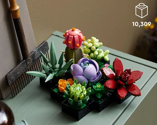 LEGO Botanicals Succulents Deal: Save $15