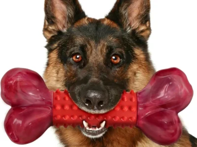 Apasiri Tough Nylon Dog Chew Toy w/ Textured Rubber Center (Red/Beef Flavored) $6.xx