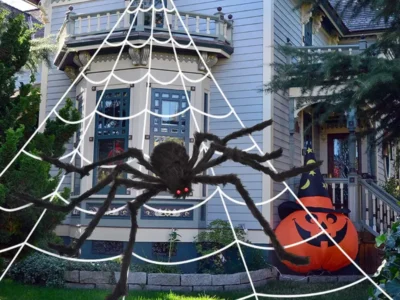 spider-web
