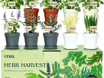 33-Piece LYKOCLEAN 10 Indoor Herb Garden Kit $22 at Amazon