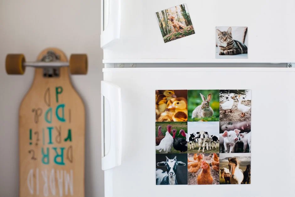 Personalized Photo Magnet Only $1 (Free S&H) at Shutterfly
