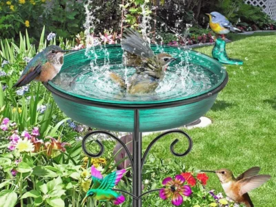 bird-baths