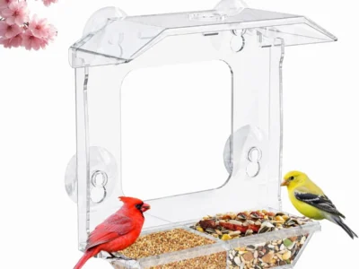 Window Bird Feeder Only $7.xx on Amazon