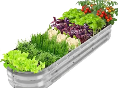 garden-bed