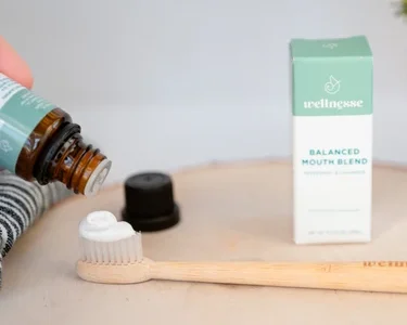 Free Wellnesse Bamboo Toothbrush with Free Shipping!