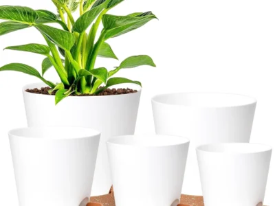 Amazon : Vanslogreen 5-pk Self Watering Planters with Drainage Holes $10 + Free Prime Shipping. #Ad