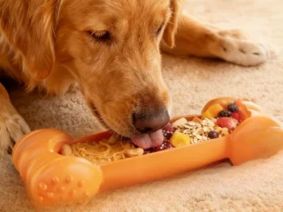 FOXMM-Freeze-Toy-for-Dogs