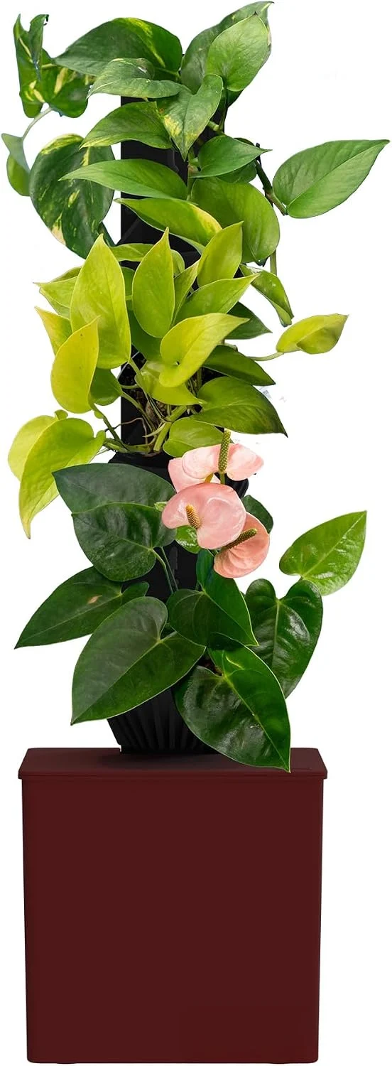 Tevatower Mini Smart Garden Only $62.xx (Reg. $149) at Amazon