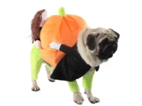 Tractor Supply Halloween Pet Photos: Free Pet Bandana & Photo Frame on October 10