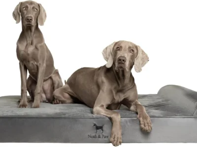 Noah & Paw 55″x45″ XXL Orthopedic Cooling Gel Memory Foam Dog Bed $65.xx + Free S&H