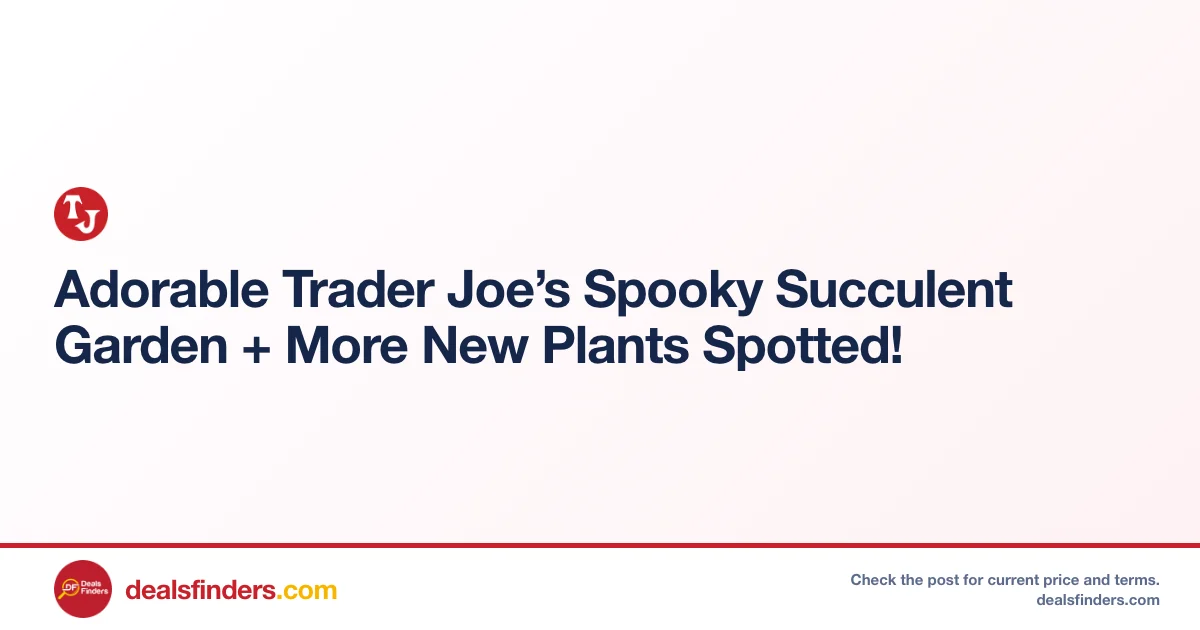 Trader Joe’s Spooky Succulent Garden Deal at Traderjoes