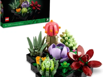 $34.xx* | 771-Pc LEGO Botanical Collection Succulents Building Set at Amazon