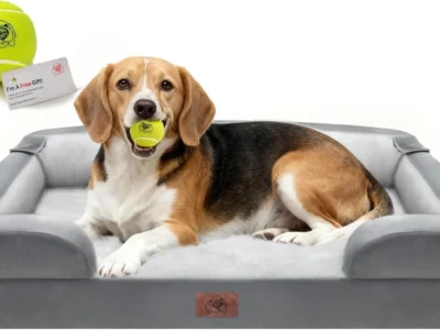 36″ Song Puppy Orthopedic Memory Foam Dog Bed $22.xx at Amazon