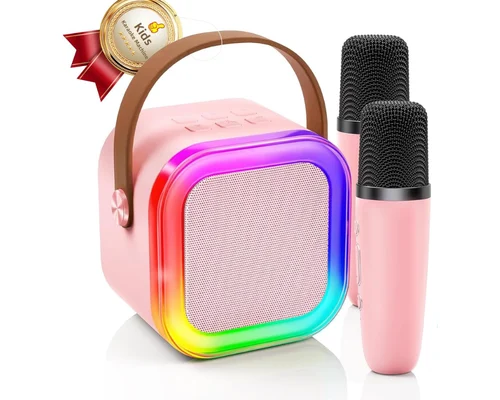 Mini Karaoke Machine w/ 2 Microphones for $9.xx