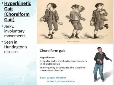Neurological-Gaits-Management-And-Assessment-With-Kinetics-And-Kinematics-35-2048