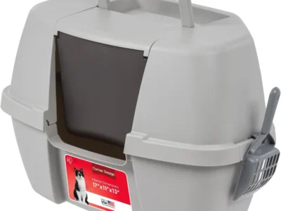 litter box