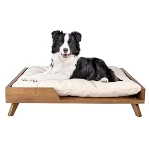 Petmaker Elevated Dog Bed Only $57.xx (Reg. $145) at Amazon