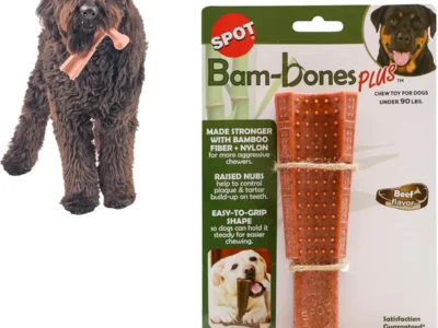 SPOT Bam-Bones Plus 7″ Beef Flavor T-Bone Dog Chew Toy (60-90 lb) $4.xx