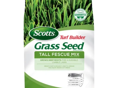 Home Depot Daily Pick: Turf Builder Thick’R Lawn Tall Fescue Mix 12 lbs.