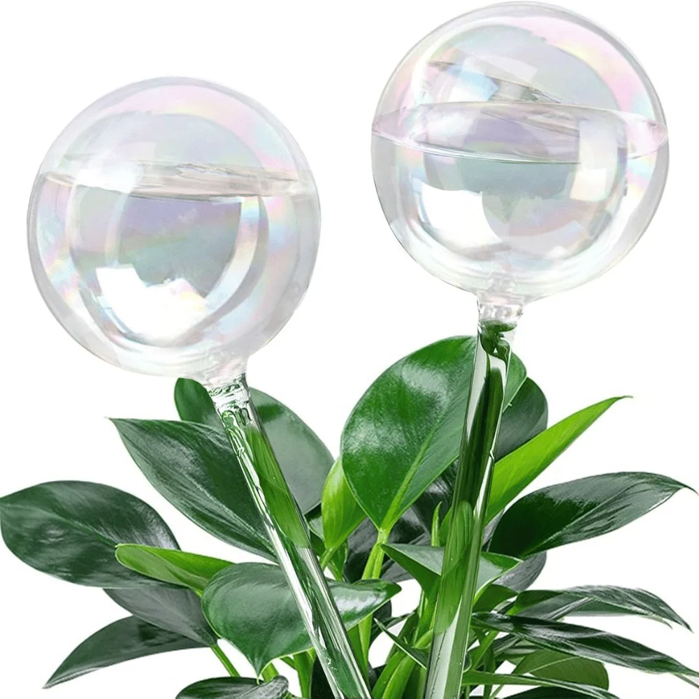 2pcs Glass Plant Watering Devices Deal: Save $6.xx at Amazon