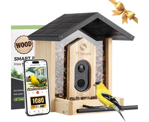 Bird Feeder with Camera Deal