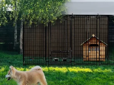 ONLY $155.99 (Reg. $525) Metal Dog Kennel With Roof + Free Shipping at Wayfair