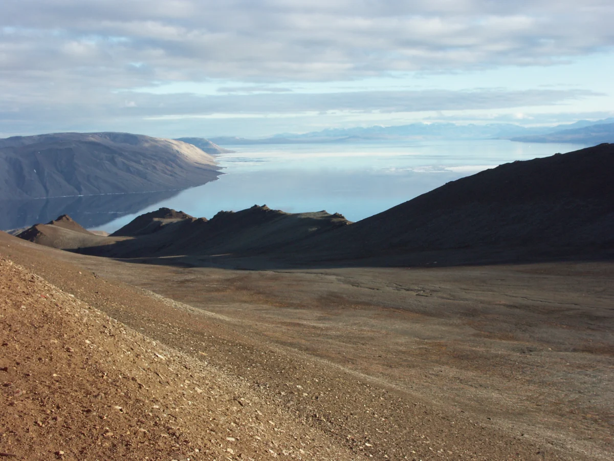 Adidas Firebird Track Pants Deal: Save 79% at Macy’s