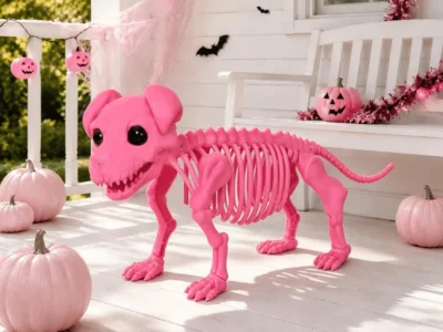 dog-skeleton
