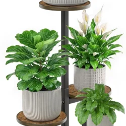 5 Tier Corner Plant Stand Deal: Save 50% Now Limited