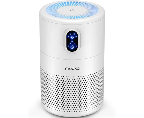 Large Room HEPA Air Purifier for $35.xx