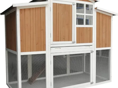 chicken-coop