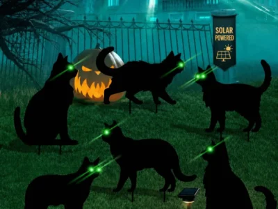 black-cat