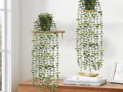 hanging-plants