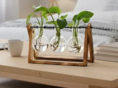 Plant Terrarium for $9.xx