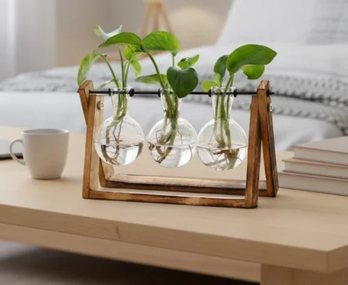 Plant Terrarium Deal: $9