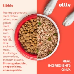 Ollie – NEW Halloween Promo! 70% OFF + Gifts
