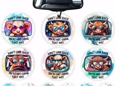 car-air-fresheners