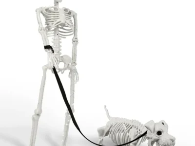 [Prime] $19.xx* | IDEAALS Lighted Human & Dog Skeleton Halloween Decorations at Amazon