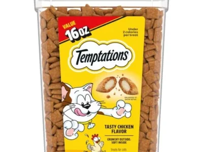 16-Oz Temptations Classic Crunchy & Soft Cat Treats (Tasty Chicken Flavor) $6.xx w/ S&S & More