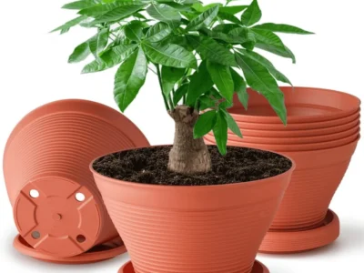 8‑Pack 8‑Inch Plant Pots Deal: Save $13.xx at Amazon